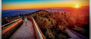 Tennessee State: Uniqueness and Diversity